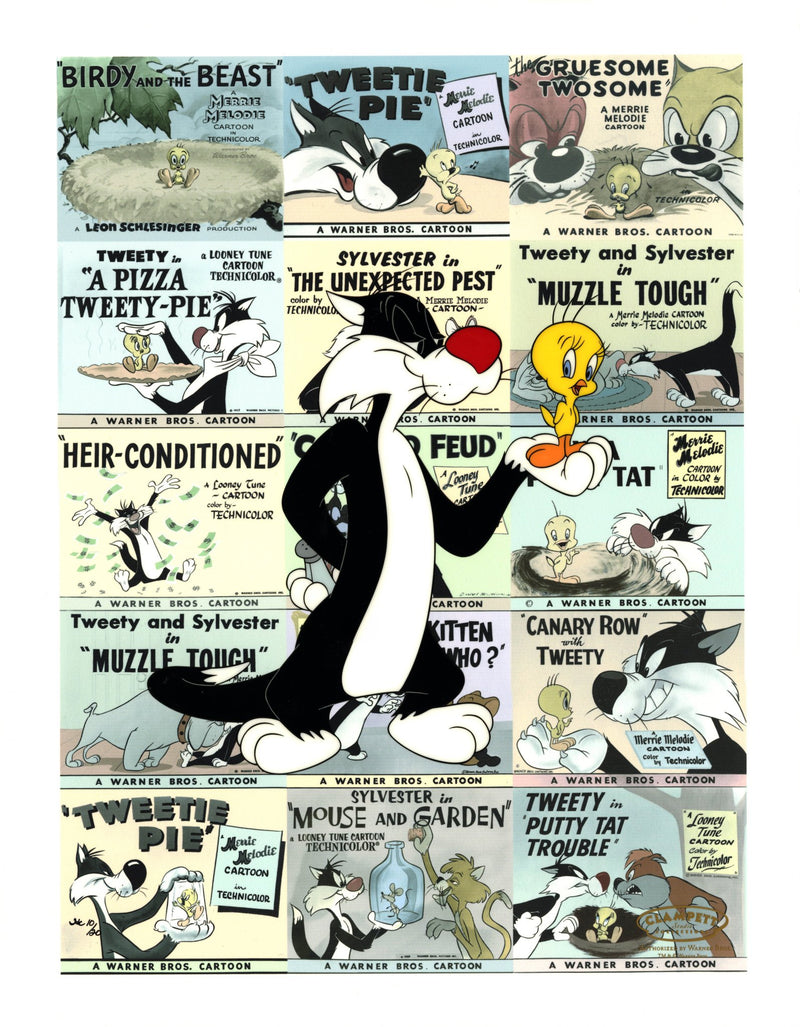 Rare Vintage Flat sheet Tweety & Sylvester Tom et Jerry Flat sheet