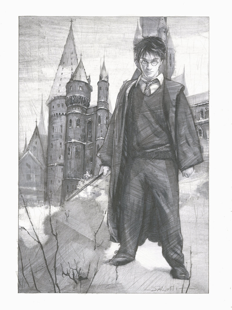 Jim Salvati Signed Original Drawing: Harry Potter (Framed)