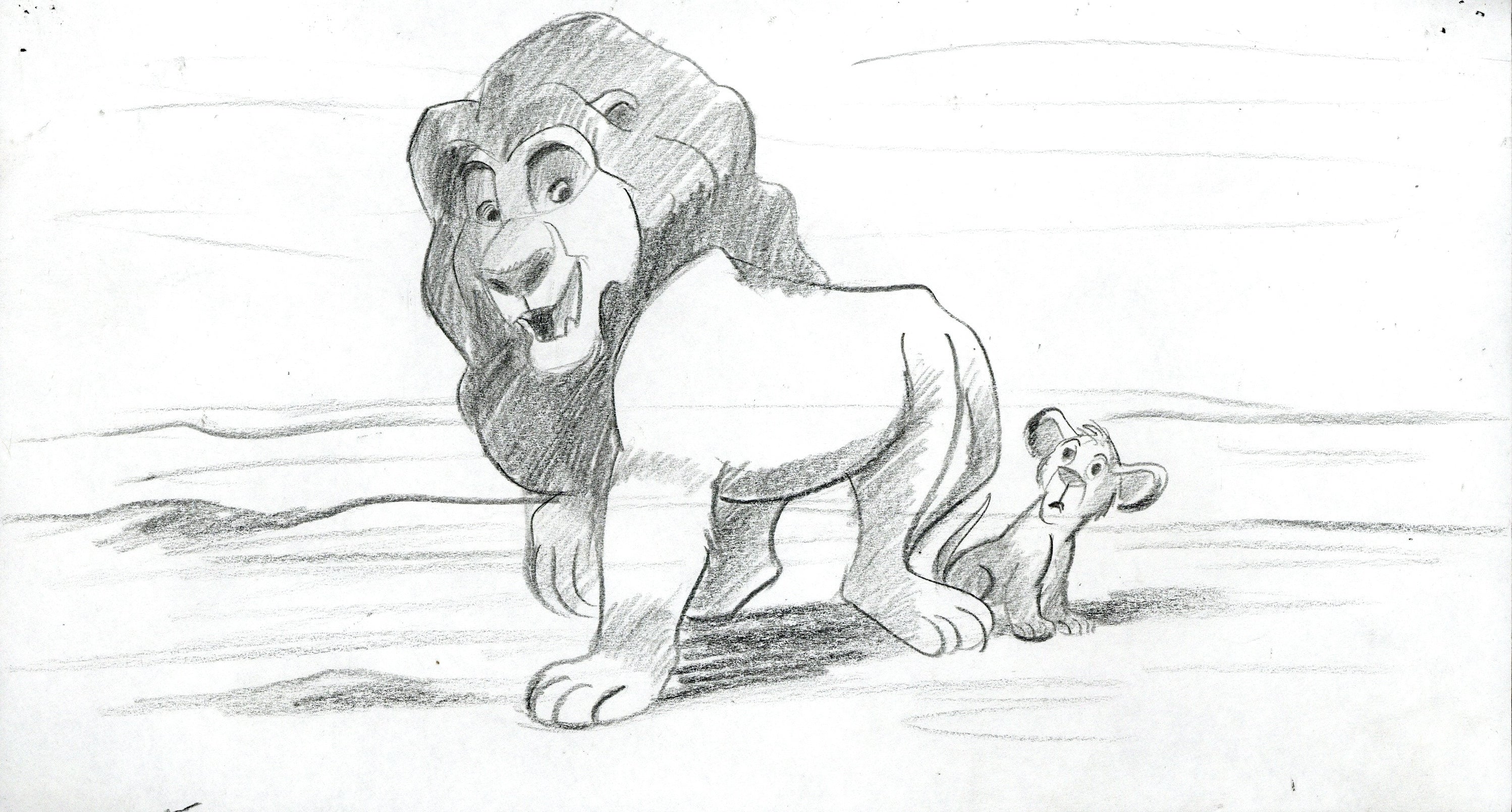 How To Draw New Lion King