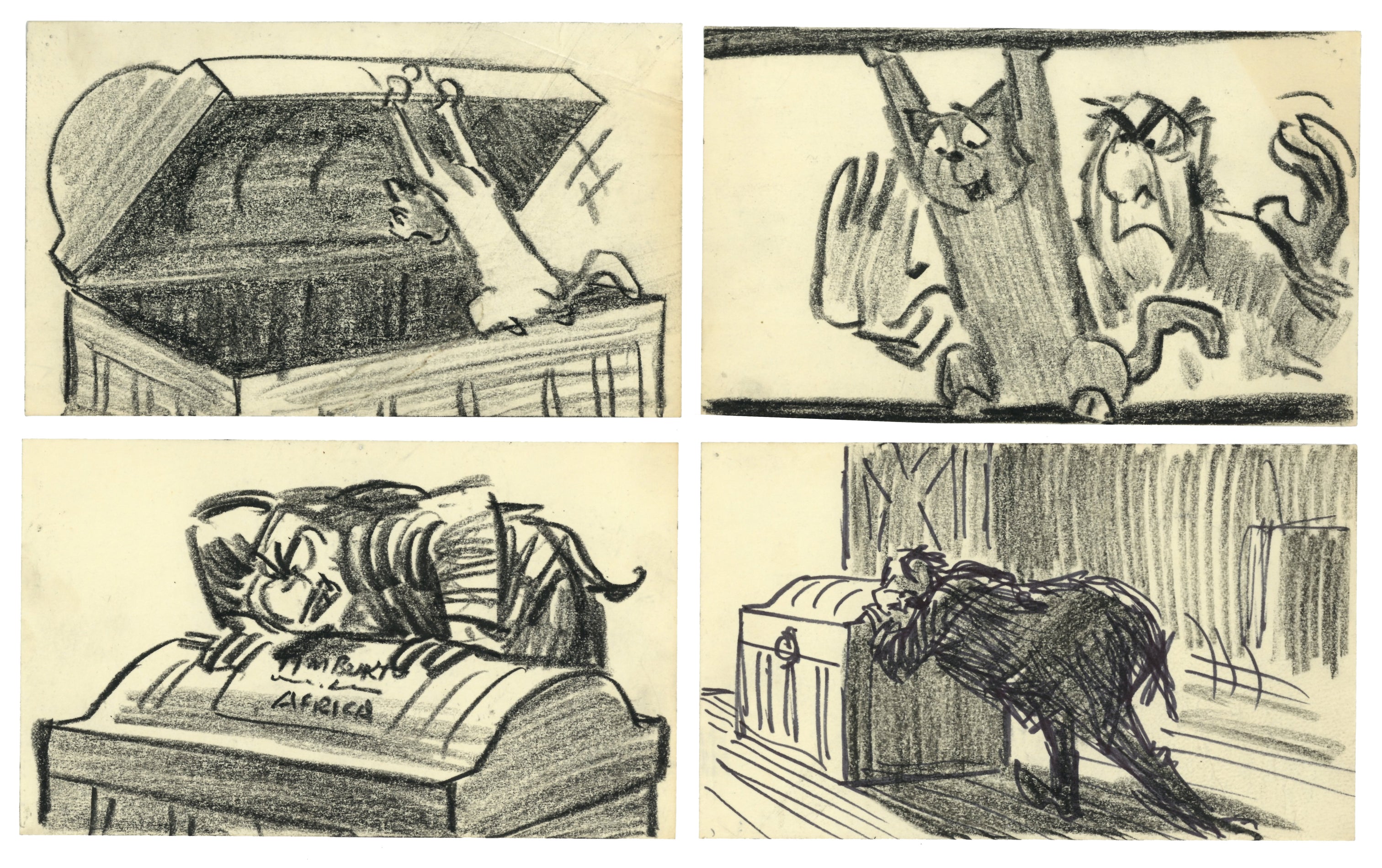 アリソン・ヴォート Allyson Vought デビットウィラードソン アリソン・ヴォート Allyson Vought デビットウィラードソン