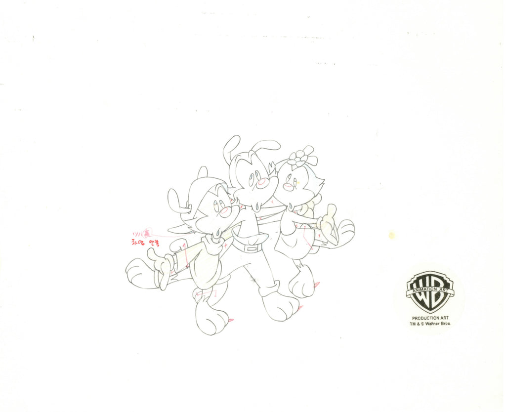 Animaniacs Original Production Cel with Matching Drawing Signed by Tom Ruegger: Yakko, Wakko, Dot