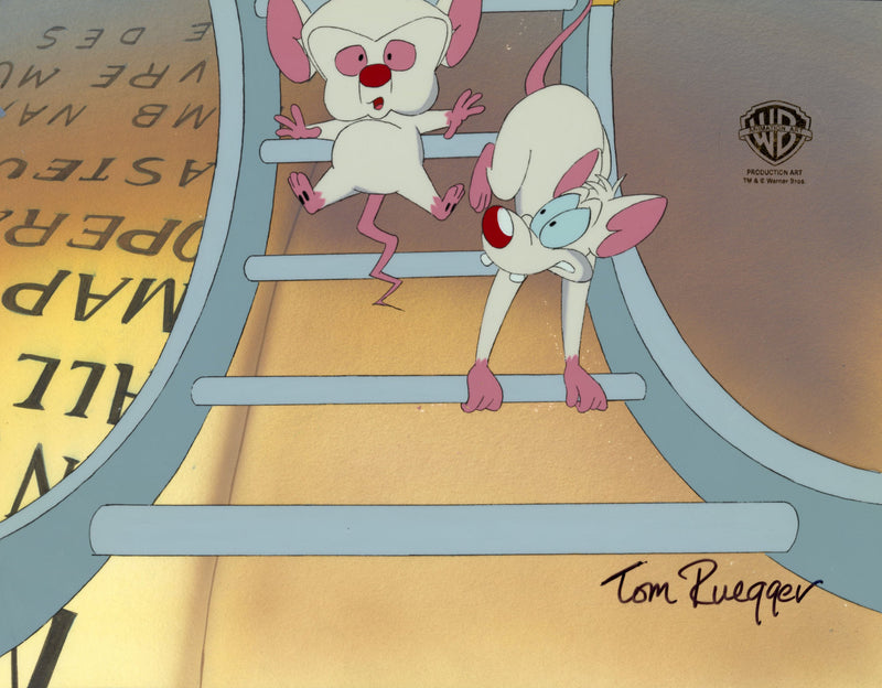 Pinky And The Brain Original Production Cel on Original Background Signed by Tom Ruegger: Pinky, Brain