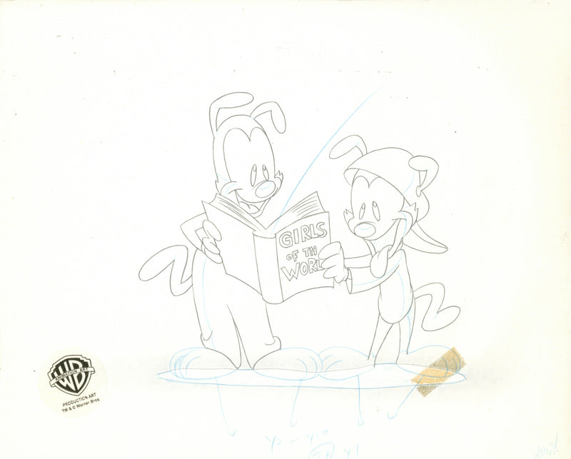 Animaniacs Original Production Cel with Matching Drawing: Yakko, Wakko