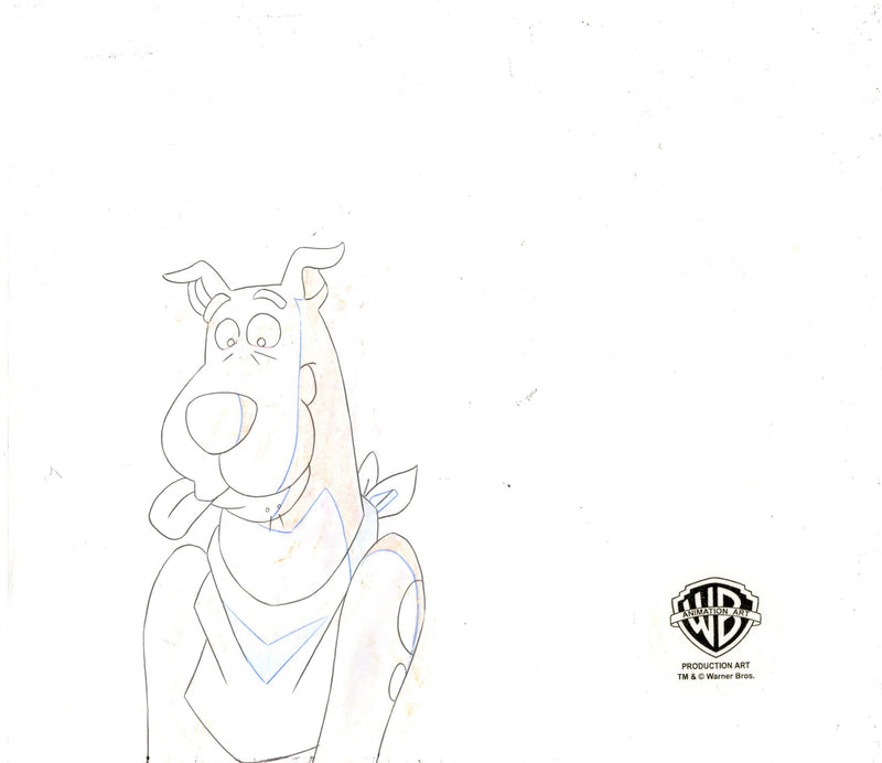 Scooby-Doo and the Witch's Ghost Original Production Cel With Matching Drawing: Scooby and Shaggy