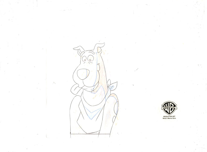 Scooby-Doo and the Witch's Ghost Original Production Cel With Matching ...