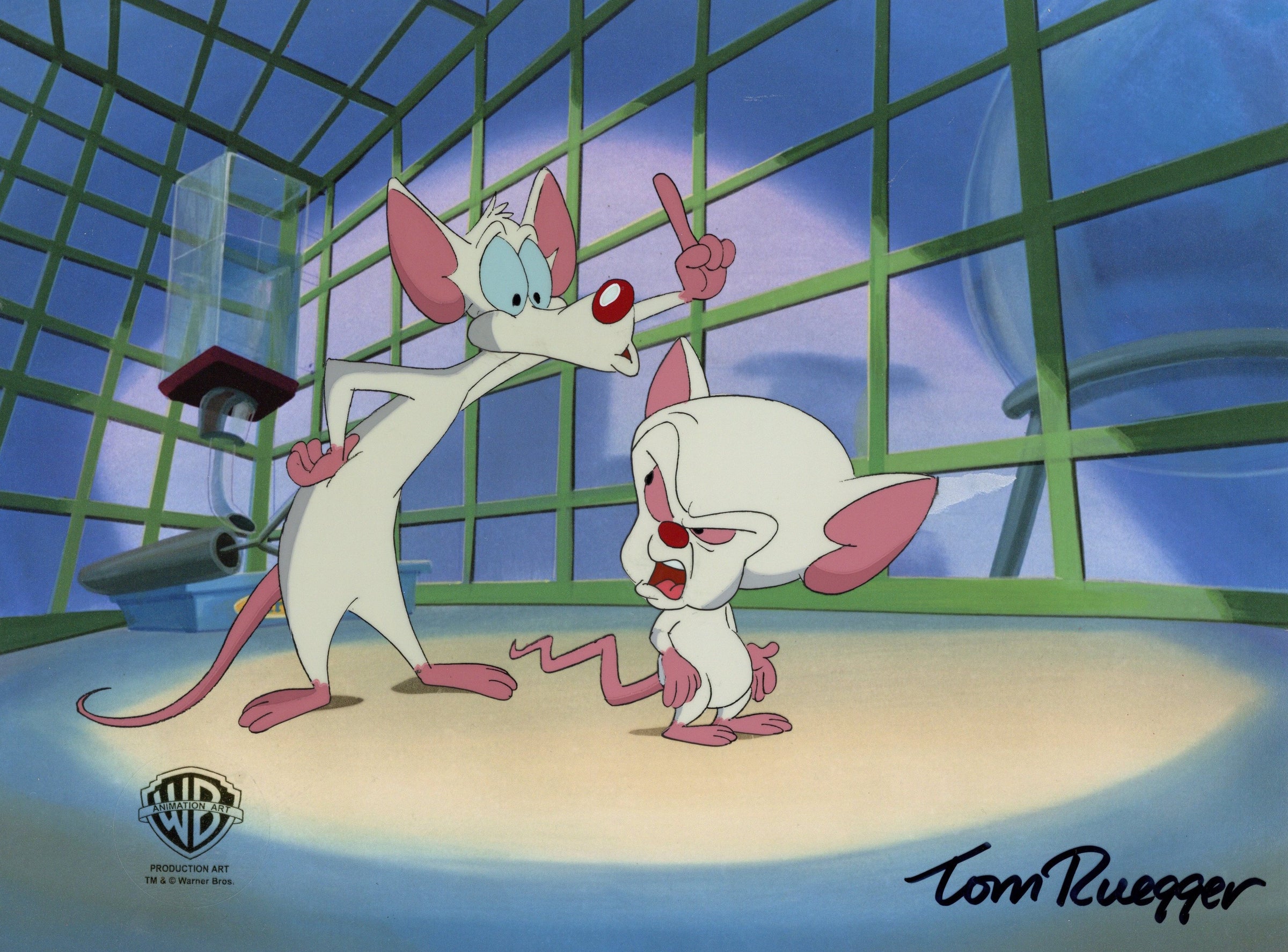 Tom Ruegger Productions Pinky And The Brain Original Production Cel signed by Tom Ruegger: Pin ...
