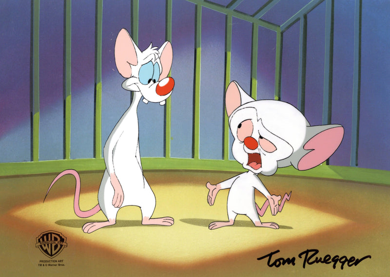 Tom Ruegger Productions Pinky And The Brain Original Production Cel Signed by Tom Ruegger: Pin ...