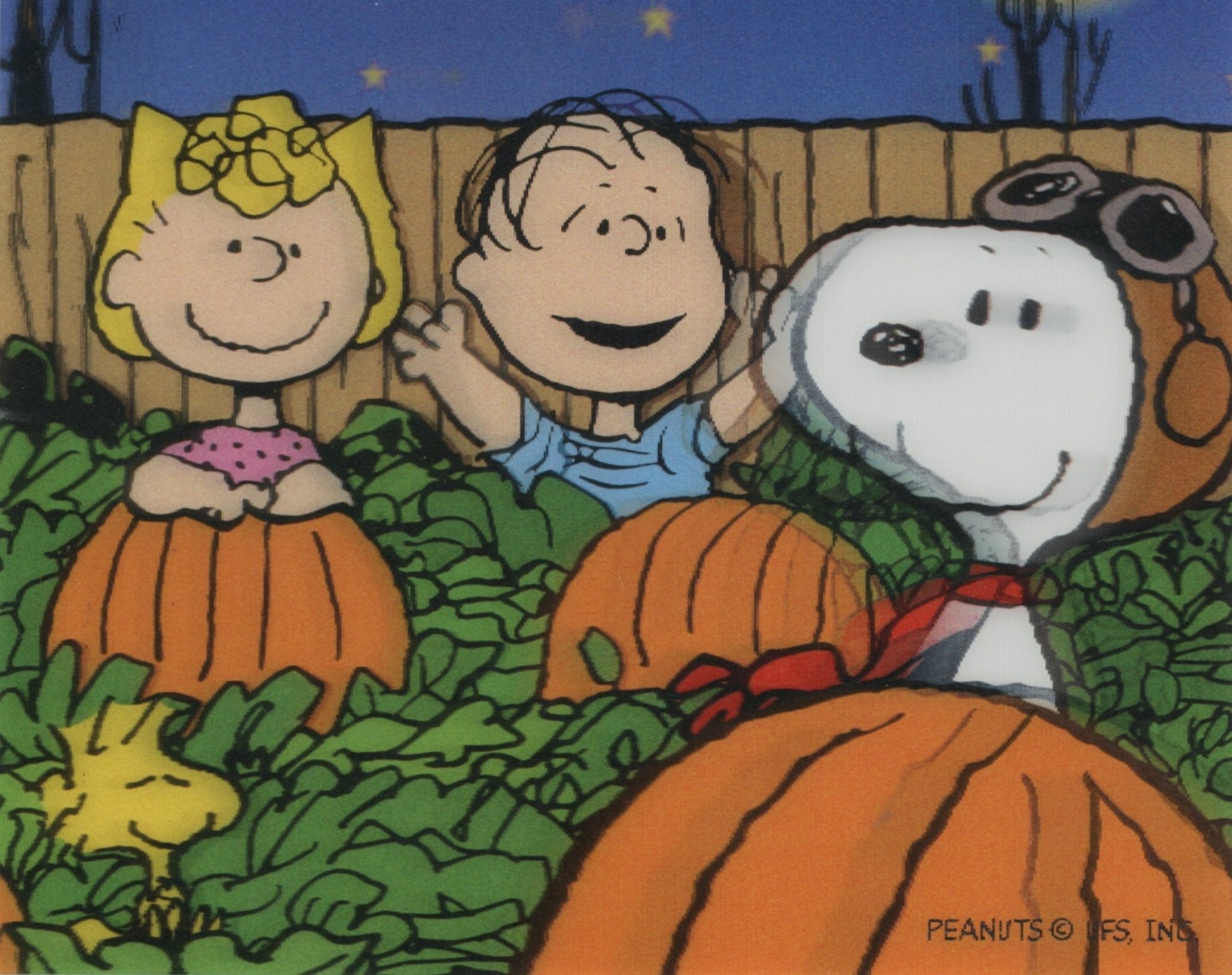 Peanuts Lenticular Card: Sally, Linus, Snoopy (Framed) – Choice