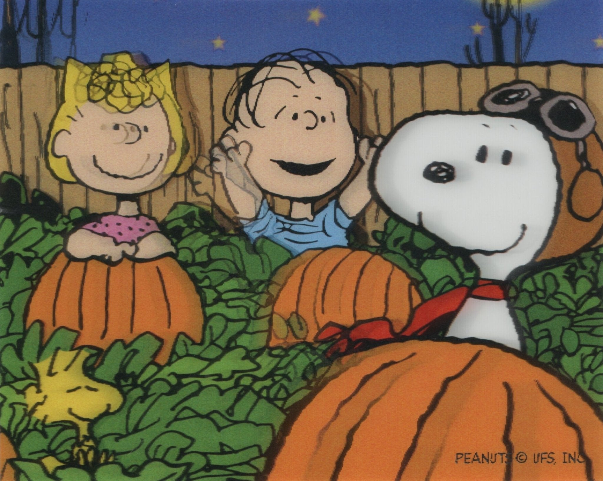 Peanuts Lenticular Card: Sally, Linus, Snoopy (Framed) – Choice