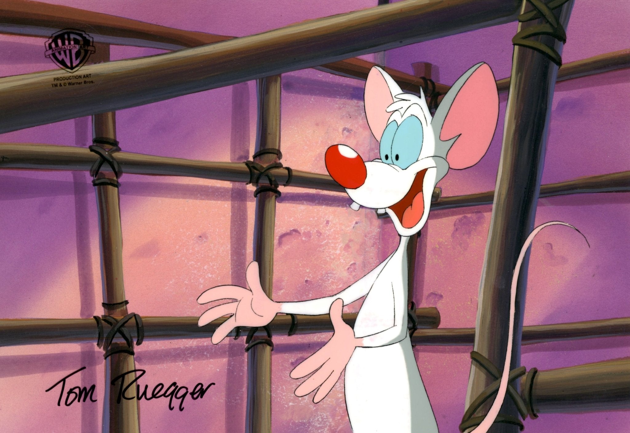 Pinky and the Brain Original Production Art – Choice Fine Art