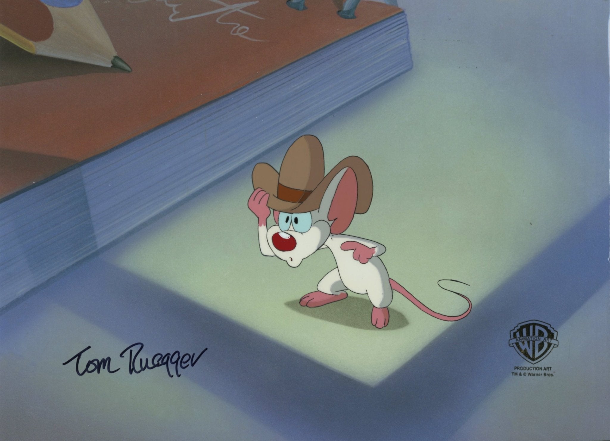 Tom Ruegger Pinky And The Brain Original Production Cel Signed by Tom Ruegger: Pin ...