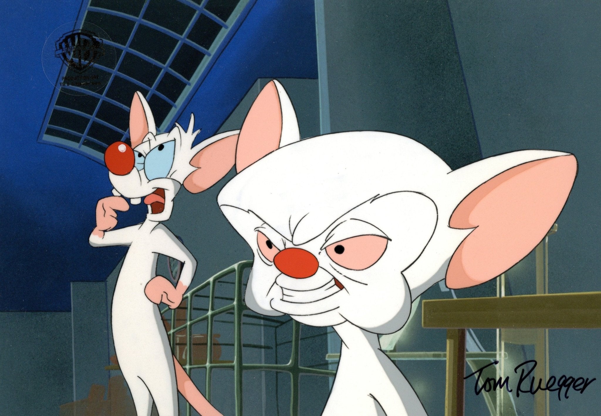 Tom Ruegger Family Pinky And The Brain Original Production Cel Signed by Tom Ruegger: Pin ...