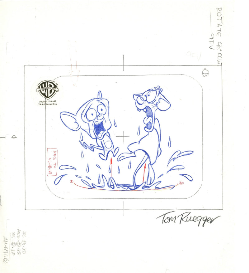 Tom Ruegger Pinky And The Brain Original Production Drawing Signed by Tom Ruegger ...