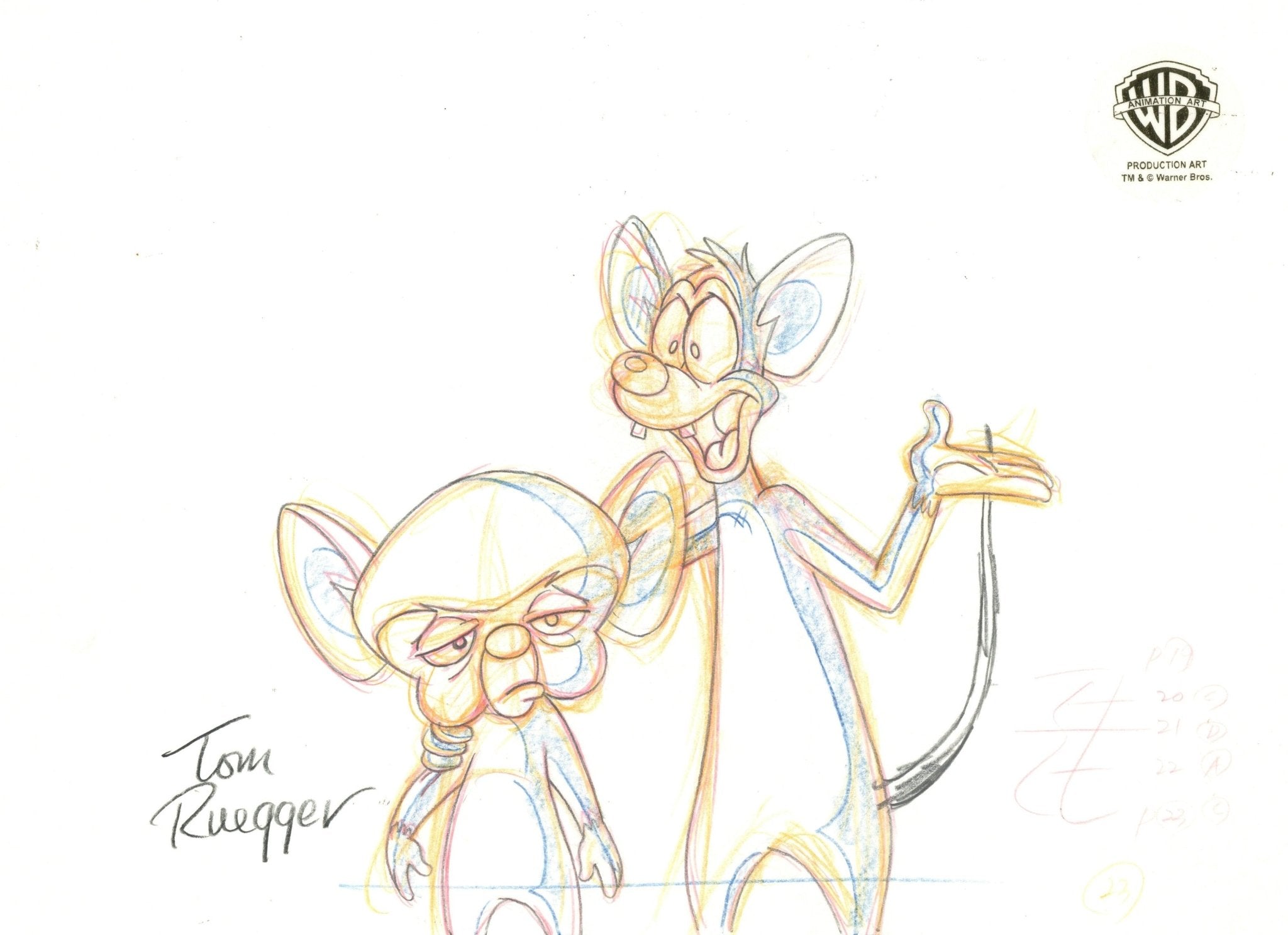 Tom Ruegger Pinky And The Brain Original Production Drawing Signed by Tom Ruegger ...