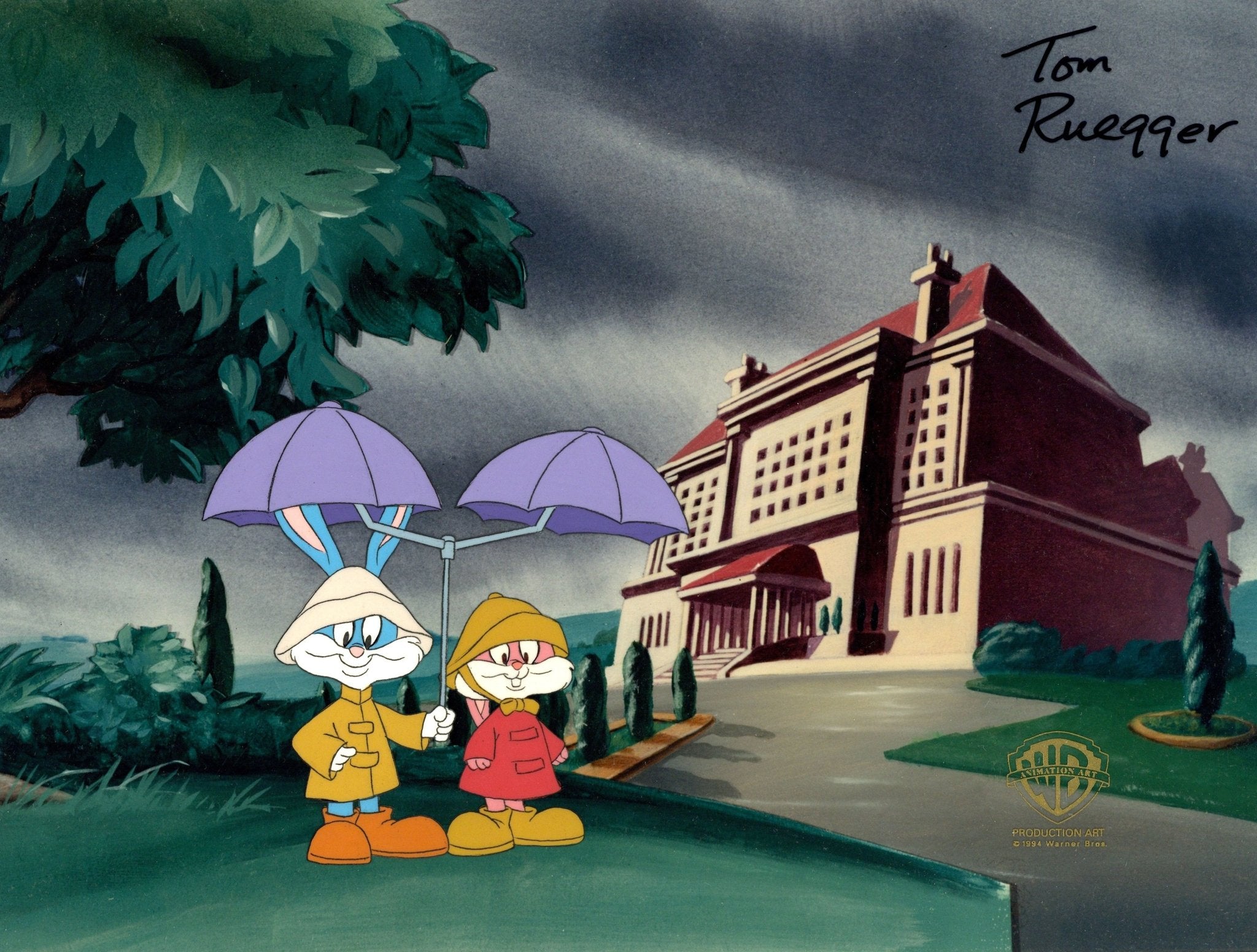 Tom Ruegger Cartoon Tiny Toon Adventures Original Production Cel Signed by Tom Ruegger: Bu ...
