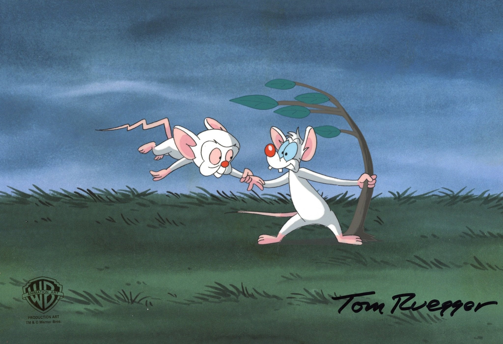 Tom Ruegger Productions Pinky And The Brain Original Production Cel Signed by Tom Ruegger: Pin ...