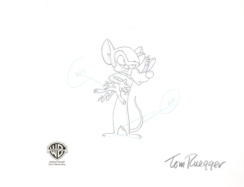 Tom Ruegger Cartoon Pinky And The Brain Original Production Cel with Matching Drawing Sign ...