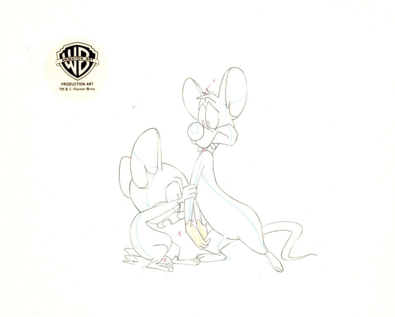 Pinky And The Brain Original Production Drawing: Pinky And Brain - Choice Fine Art