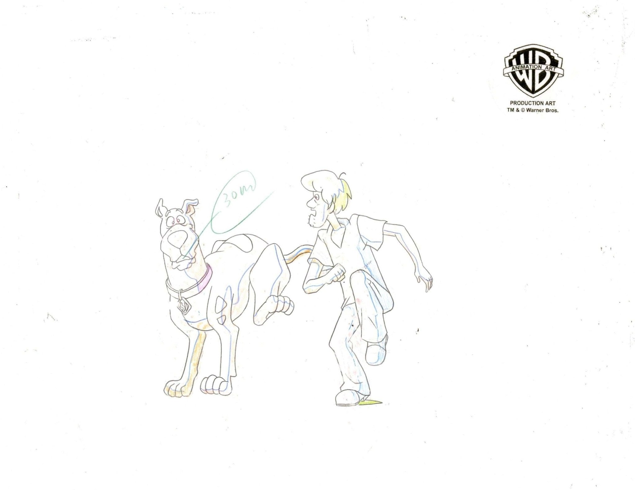 Scooby-Doo and the Witch's Ghost Original Production Cel with Matching  Drawing: Velma